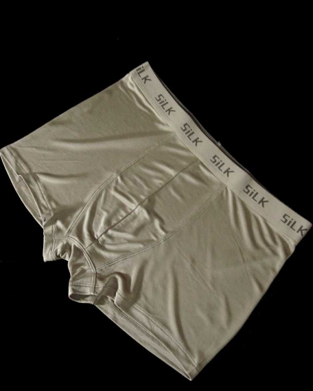 Silk Underwear for men