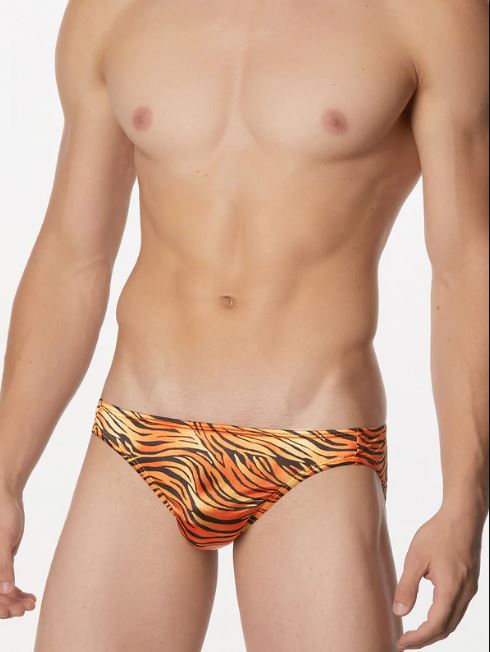 SLEEK PRINT SATIN BRIEF