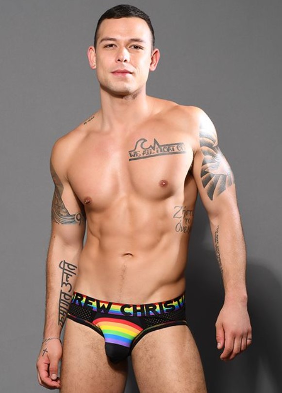 Rainbow Arch Mesh Brief w/ Almost Naked - Mesh Underwear