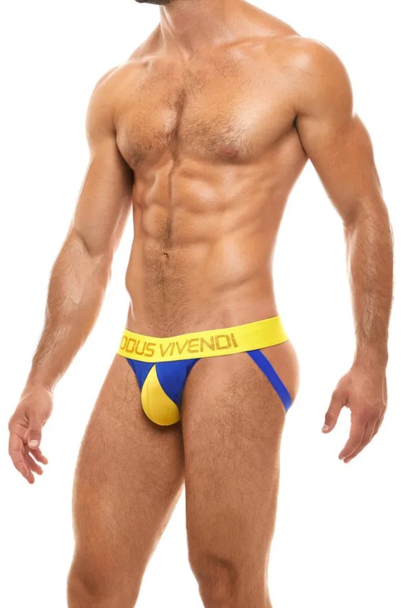 Modus Vivendi Secret Pleat Jockstrap
