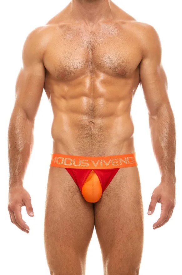 Modus Vivendi Secret Pleat Jockstrap
