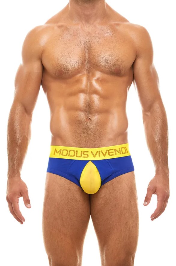 Modus Vivendi Secret Pleat Classic Brief
