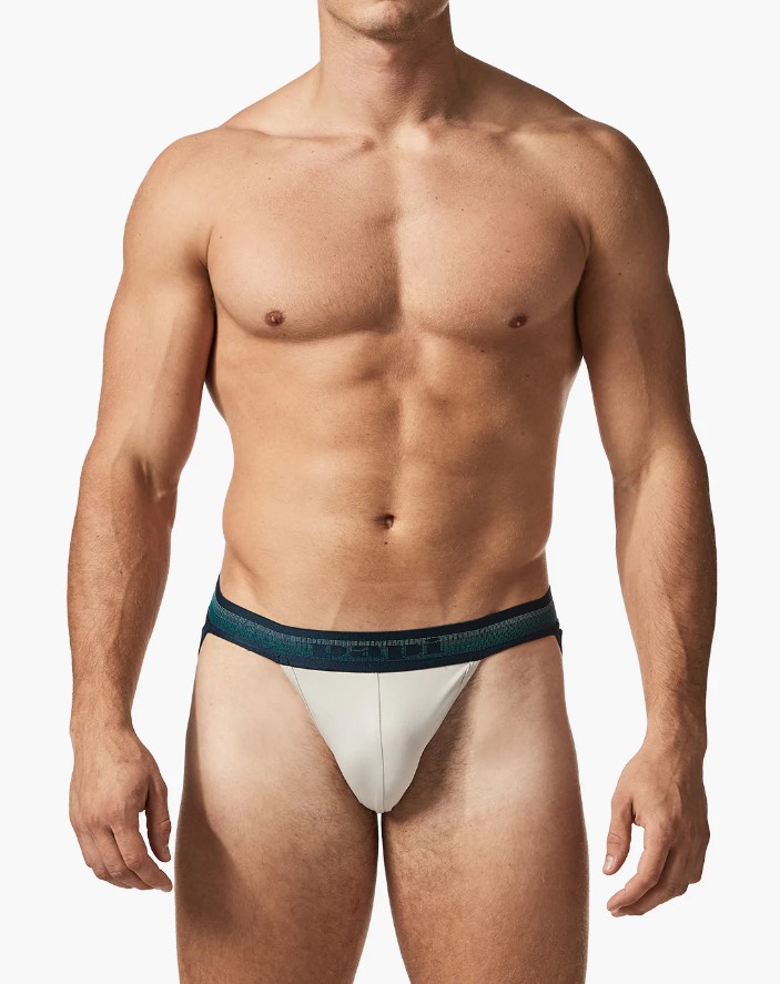 2-Pack Jockstraps Blue Moon/Quiet Gray
