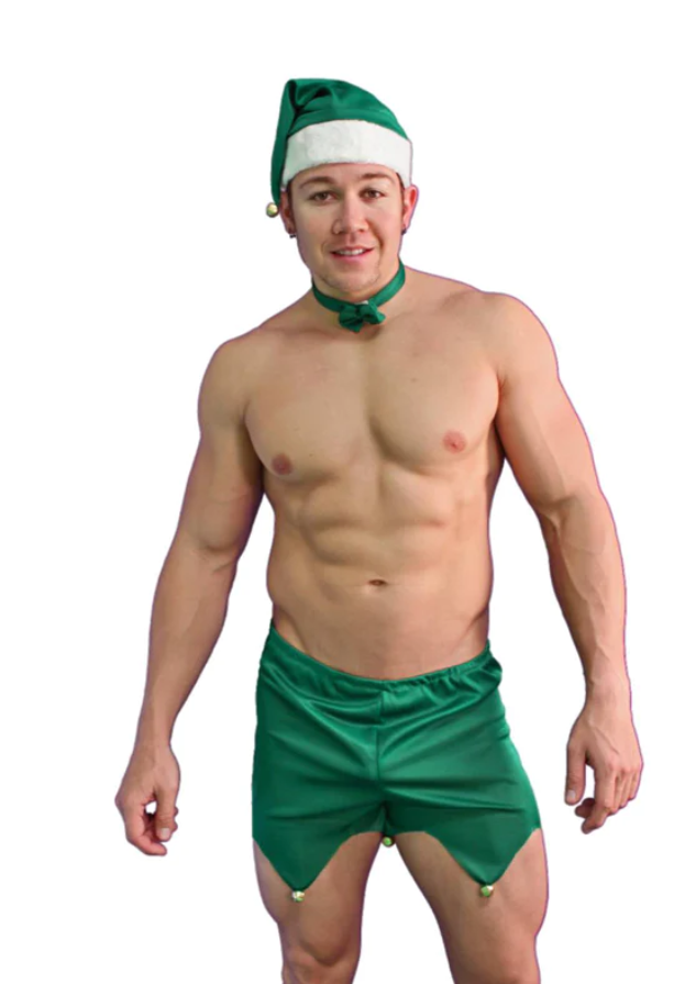 SEXY MENS ELF COSTUME SET
