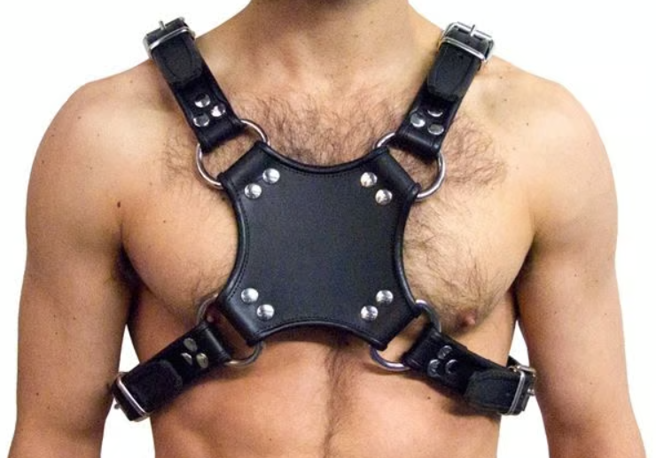 Mister B Leather Walking Harness Black-Black
