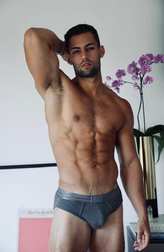 Grey Brief
