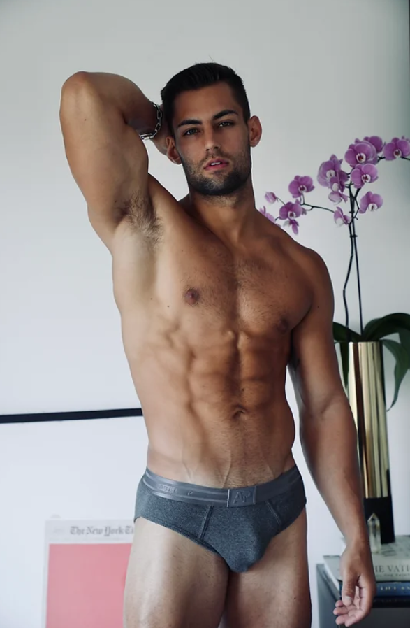 Grey Brief
