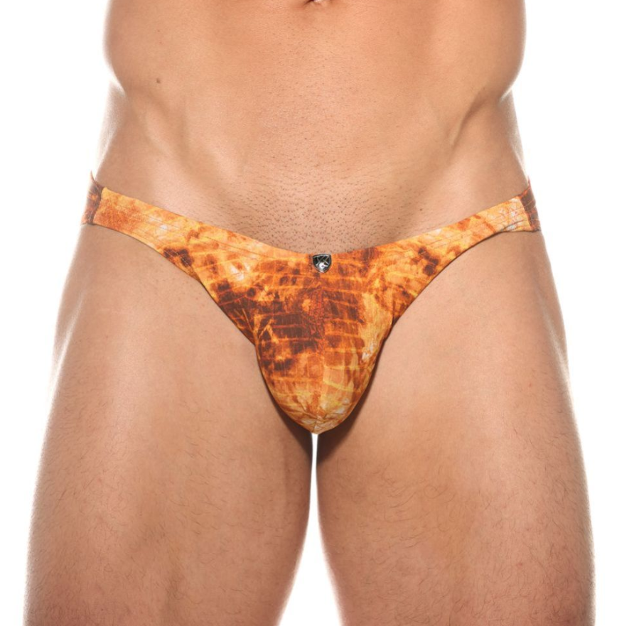 men's gregg homme brief