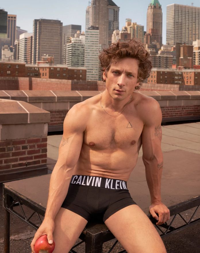 men's trunks of calvin klein