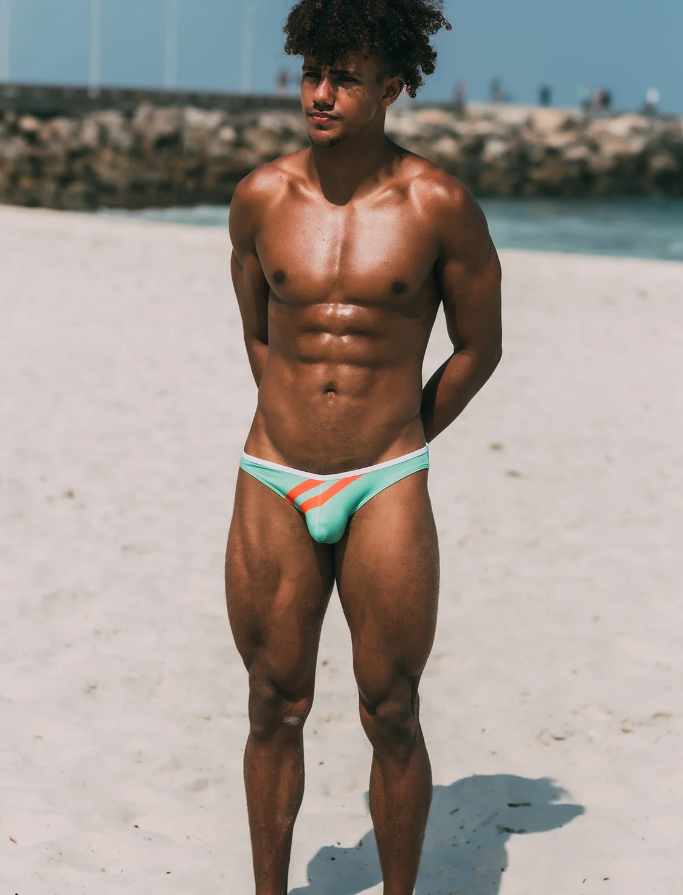 low rise bikini brief